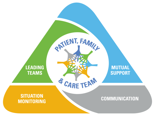 Patient, Fmaily & Care Team: Leading Teams, Mutual Support, Siutation Monitoring, Communication
