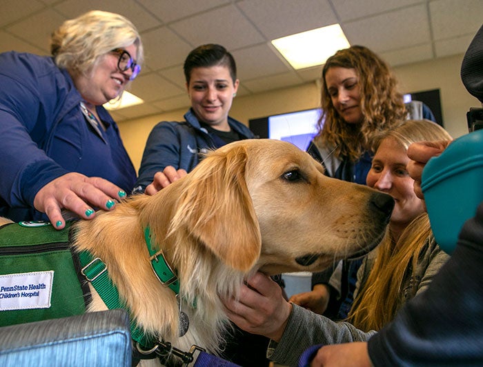 Sky the golden retriever at work, surrounded by Hershey employees