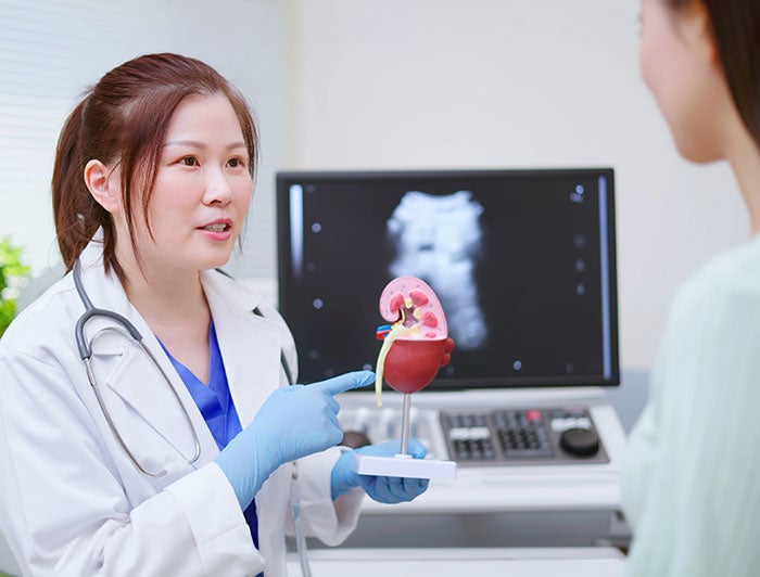 Mass General Hospital. Stock image of an Asian female clinician holding a model kidney while speaking with a patient