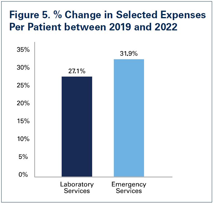 Figure 5. % Change in Selected Expenses Per Patient between 2019 and 2022. Laboratory Services: 27.1%. Emergency Services: 31.9%.