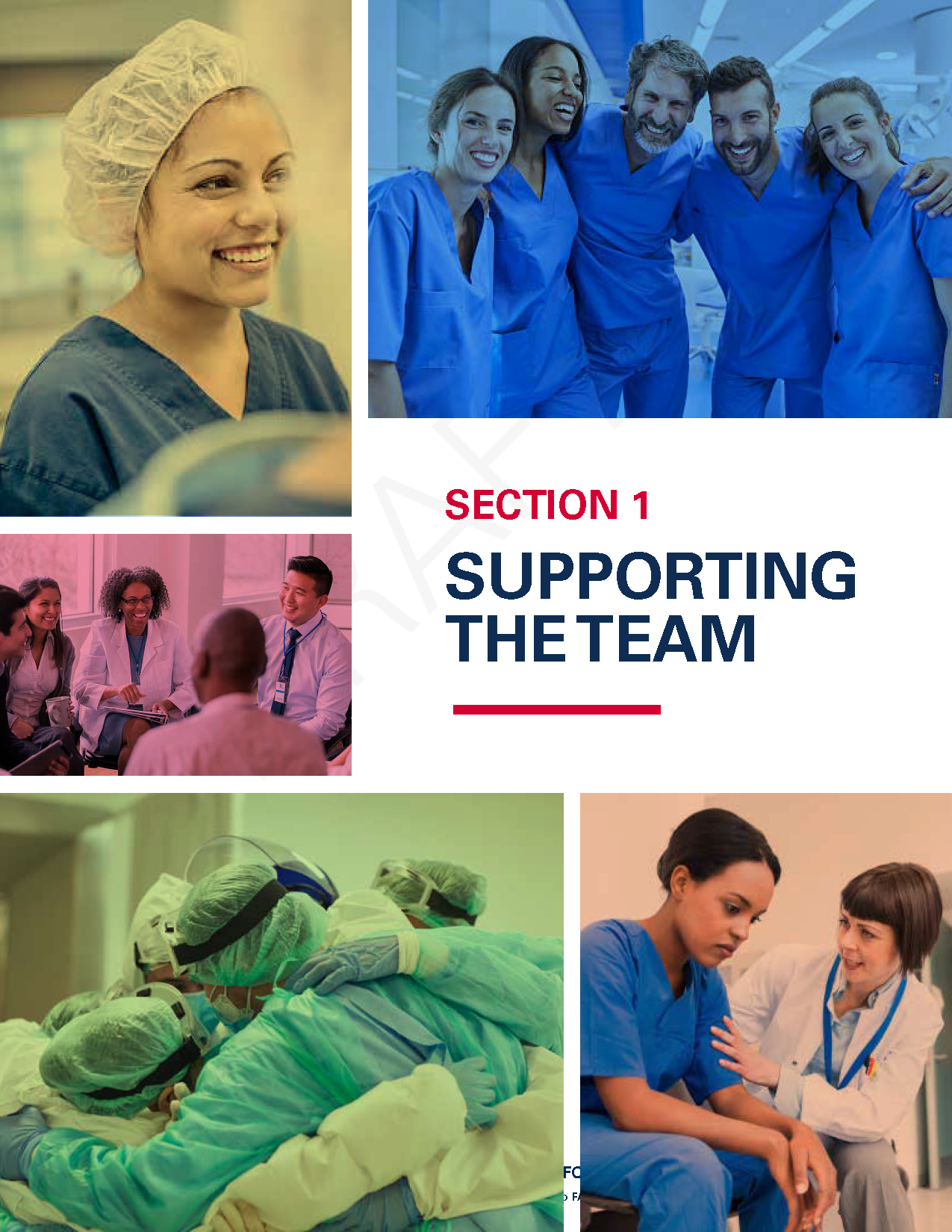 Strengthening the Health Care Workforce: Strategies for Now, Near and Far—Section 1: Supporting the Team
