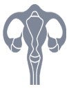Twentyeight Health. A woman's reproductive system icon.