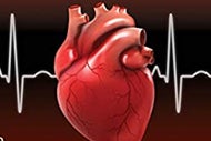 Mayo Clinic, Verily Work to Build Better Decision-Support Tools. A human heart with the Electrocardiogram human heart wave behind it.