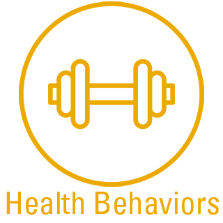 Health Behaviors icon