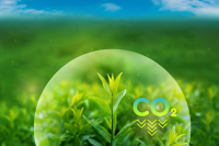 4 Ways to Drive Transformational Change in Sustainability. A plant growing in a green field is surrounded by a bubble label with carbon dioxide CO2 down.